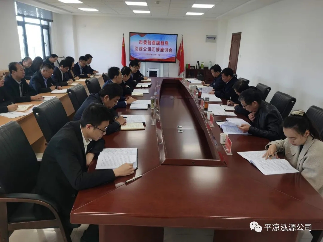 市委辦公室、市政府國資委督查泓源公司工作(圖4)
